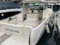 Faeton Moraga 780 Kamaralı tekne