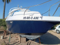 Lema Sabinal Gold Barco cabinado