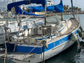 Hallberg-Rassy 31 Yelkenli yat
