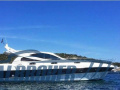 Innovazioni e Progetti ALENA 50 Hardtop