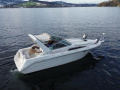 Sea Ray Ray 270 DA Sportboot