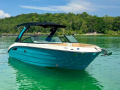 Sea Ray SDX 250 Surf Wakeboard/wakesurf