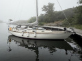 Nautors Swan 37 Yelkenli yat