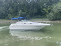 Sea Ray 250 DA Sundancer Sürat teknesi