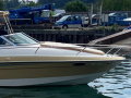Viper V243 Motoscafo