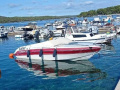 Four Winns 201 Liberator Sportboot
