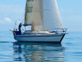 Furia 332 Cruisingjacht