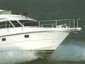 Mochi Craft DOMINATOR 34 Flybridge