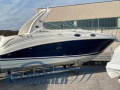 Sea Ray 315 SUNDANCER Sportboot