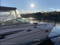Rinker Fiesta Vee Kajuitboot