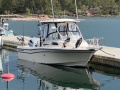 Browning USA Grady White 226 Kajütboot
