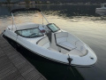 Sea Ray 190 SPE TKS Bowrider