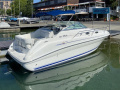 Sea Ray 240 DA Kajütboot