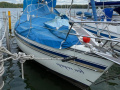 Pegaz Pegasus 737 Segelyacht