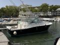 Rampage 33 Express Flybridge