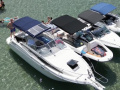 Bayliner DC 2655 Sürat teknesi