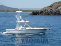 Carolina Classic CLASSIC 28 Sport boat