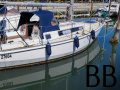 Van de Stadt 34 Yacht a vela