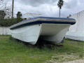 Catamara 350 Motorkatamaran