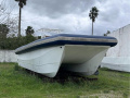 Catamara 350 Catamaran a motor