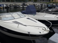 Bayliner 642 Cuddy Sportboot