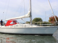 Dehler 36 CWS Yelkenli yat