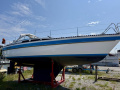 Genzel Orion 34 Yelkenli yat