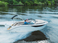 Bayliner C21 OUTBOARD Sportboot