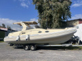 Solemar Oceanic 28 RIB