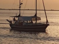 Automarine Tortuga TORTUGA 38