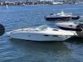 Sea Ray 240 Sun Sport Kajuitboot