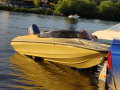Shakespeare Speedboot 60pk met trailer Sportboot