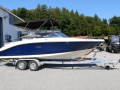 Sea Ray SPXE 210 & Trailer (1. Hand) Bowrider