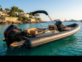 SPX Rib 24 DINETTE  MERCURY RIB
