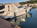 Sea Ray 290 DA Motoryacht