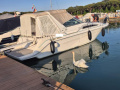 Sea Ray 290 DA Moottorijahti