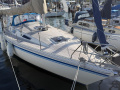 Comfortina 32 Segelyacht