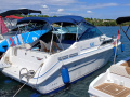 Sea Ray 240DA Sportboot