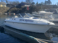 Marex Gambler Kabinski brod