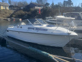 Marex Gambler Cabincruiser
