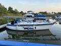 Phantom 35 Segelyacht