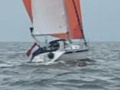 Hallberg-Rassy 31 Sejlyacht