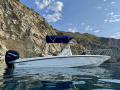 Boston Whaler Dauntless 230 Bateau à console