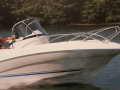 Quicksilver 555 Commander Sportboot