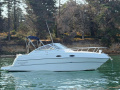 Four Winns 238 Vista Kajuitboot