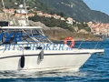 Boston Whaler BOSTON 305 CONQUEST Motor yacht