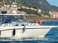 Boston Whaler BOSTON 305 CONQUEST Sportski brod