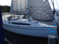 Cruiser 33 Yelkenli yat
