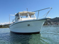 Ocqueteau Fish 610 Hardtop