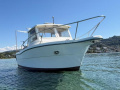 Ocqueteau Fish 610 Hardtop